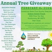 Join us for the annual tree giveaway at Bancorp South where you can receive 3 free seedlings!