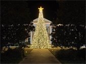 City Christmas Tree is illuminated on the front lawn of City Hall