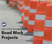 fireworks over city park