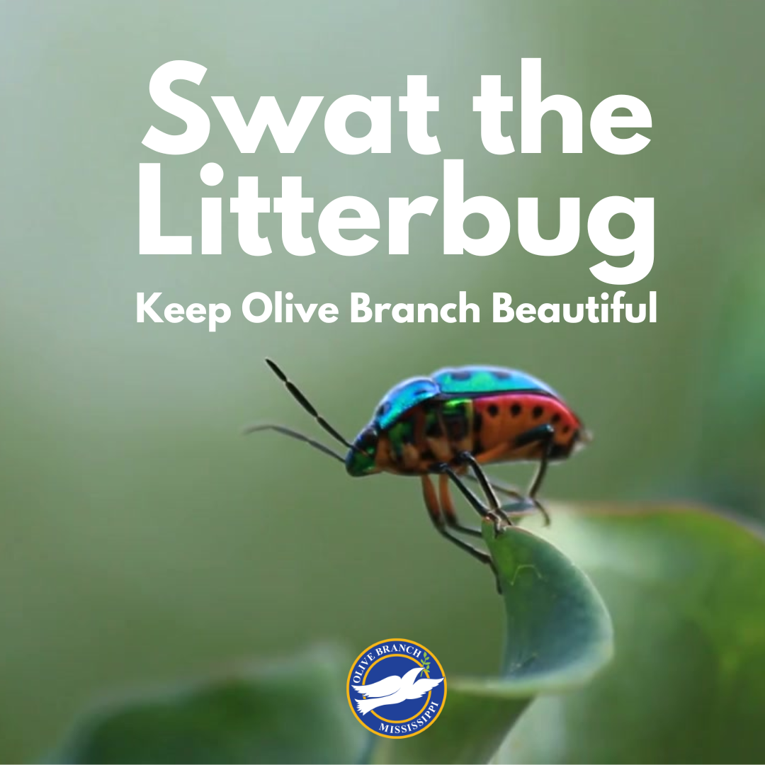 swat the litterbug. join us in keeping Olive Branch beautiful! 